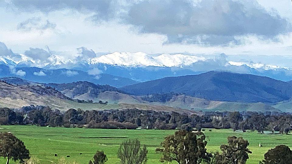 Take a Peek at our Peaks